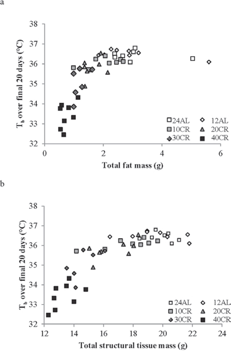 The relationship between mean daily body temperature (Tb) measured over the last 20 days of the experiment and body composition.