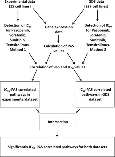 Outline of the procedures used to identify drug sensitivity-linked pathways.