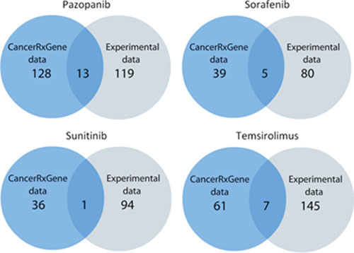 Schematic representation of the statistics on molecular pathways correlated with the response to drug treatment.