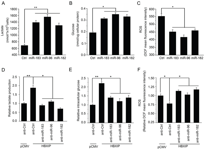 HBXIP enhances the glucose metabolism reprogramming of breast cancer cells through miR-183/96/182 in vitro.