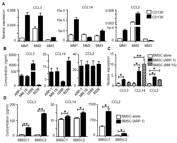 Expression of CCL2, CCL3 and CCL14 by human MM BM cells.