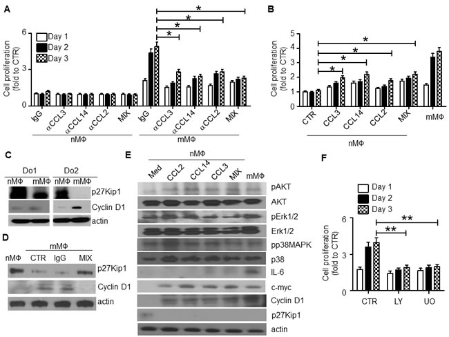 CCL2, CCL3 and CCL14 stimulate human M&#x3a6; proliferation and intracellular signaling.