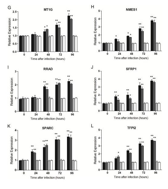 fig2b