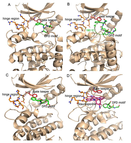 Ribbon plot (brown) displaying the crystal structures of Mnk kinase domain.