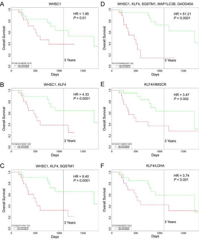 Prognostic value of WHSC1, KLF4 and SQSTM1 expression in MM patient survival outcomes.