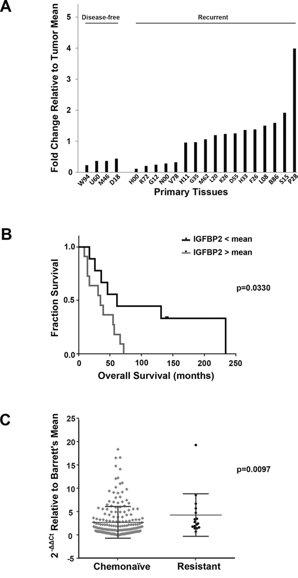 Association of IGFBP2 expression with chemoresistance in EACs.