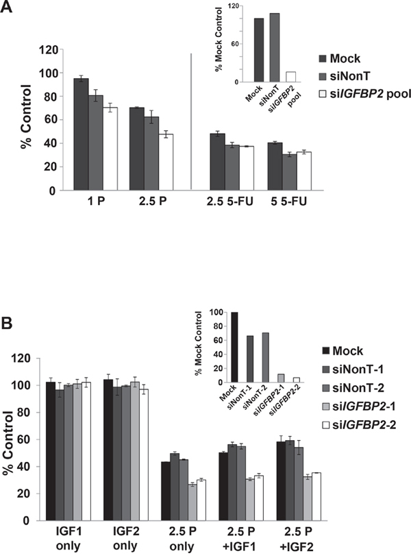 Effect of IGFBP2 modulation on chemosensitivity.