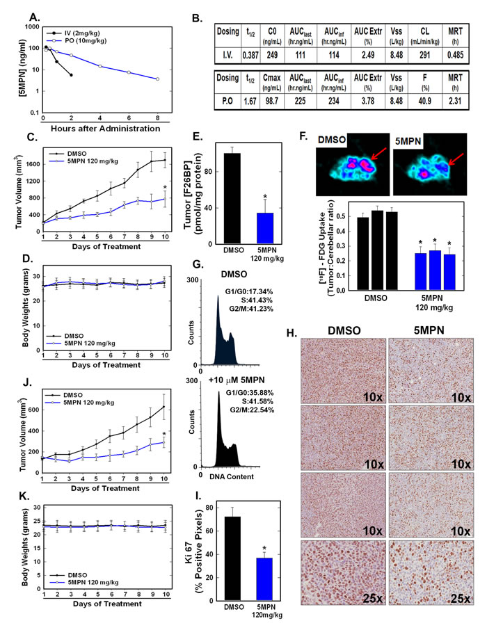 5MPN has high oral bioavailability and suppresses glucose uptake and tumor growth in mice.