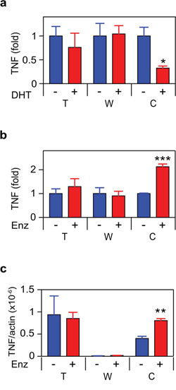 ADT induces TNF expression in CRPC.