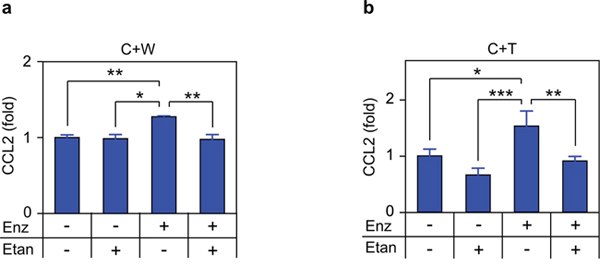 TNF is required for enzalutamide-induced CCL2 secretion in co-cultures.