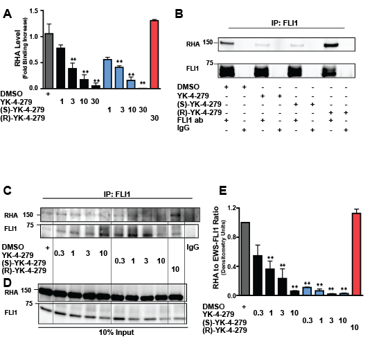 (S)-YK-4-279 disrupts binding between EWS-FLI1 and RHA.