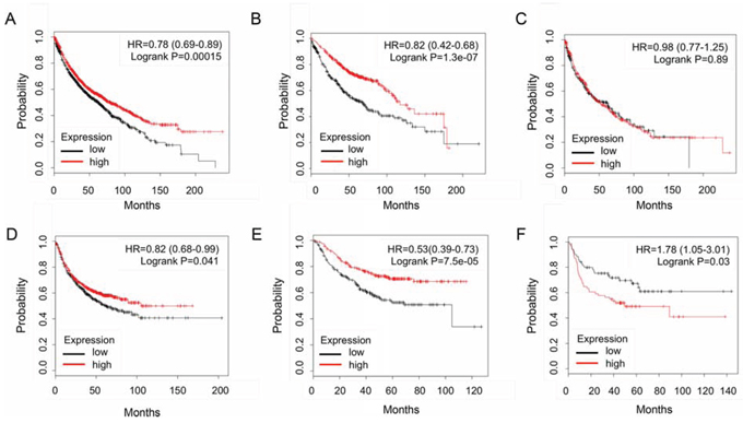 An in silico meta-analysis of IKK&#x03B1; expression profiles with Kaplan-Meier plotter in lung cancers.