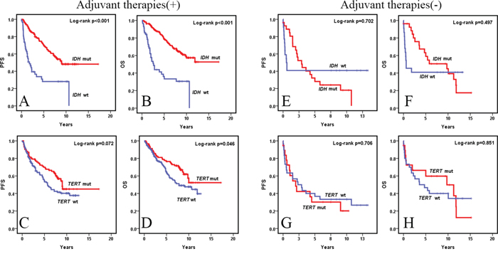 Kaplan-Meier survival curves (univariate analysis) of IDH and TERT promoter mutations for OS and PFS in WHO grade II and III diffuse gliomas with and without adjuvant therapies.
