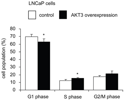 Overexpression of AKT3 promoted cell cycle progression in LNCaP cells.