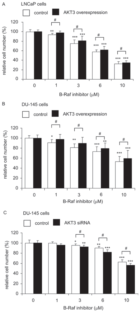 LNCaP and DU-145 cells overexpressing AKT3 was more resistant to B-Raf inhibitor treatment while siRNA knockdown of AKT3 increased sensitivity of DU-145 to B-Raf inhibitor treatment.