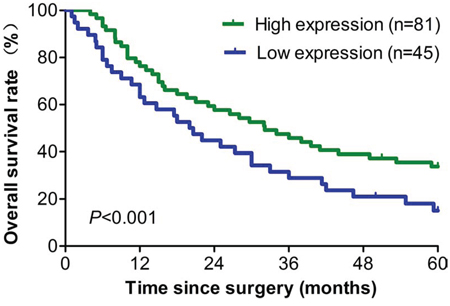 Survival analyses of 126 ovarian cancer patients with high and low eIF3a expression level.