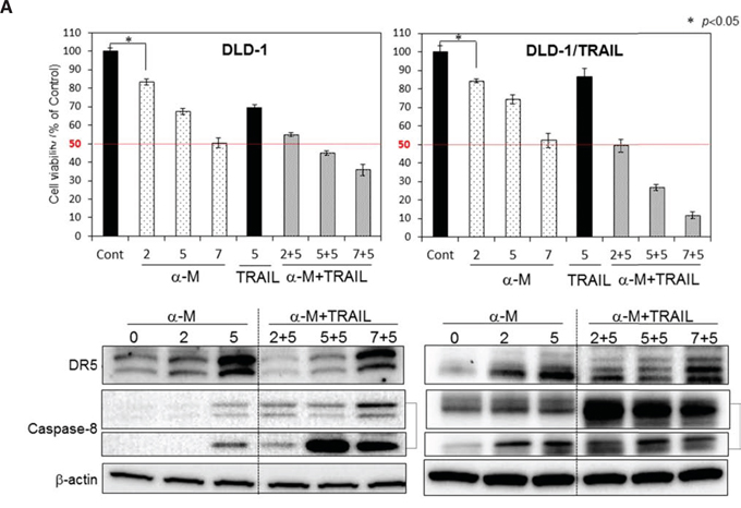 &#x03B1;-Mangostin and rTRAIL significantly induced growth suppression by causing up-regulation of DR5.