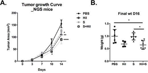 Combination of poly-ICLC and Sorafenib enhanced tumor control in NSG mice.