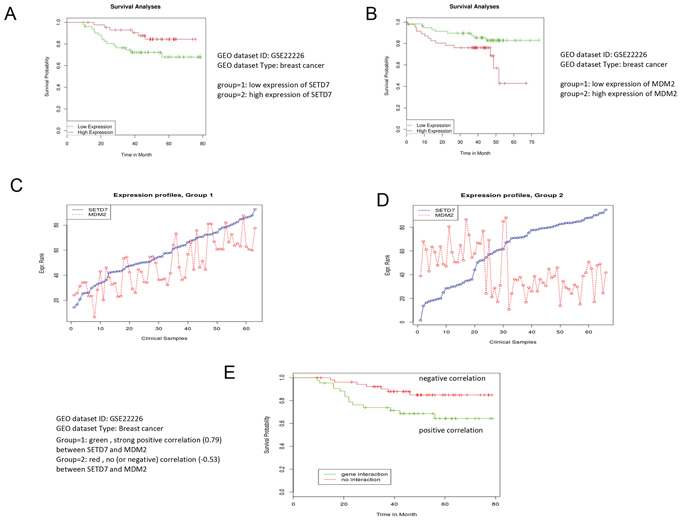 Low expression of Mdm2 correlates with better survival of breast cancer patients.