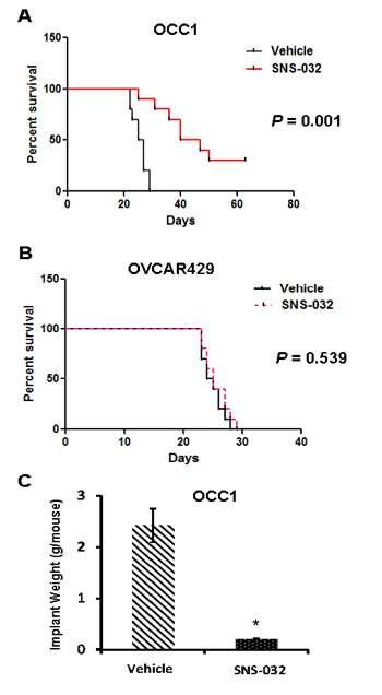 SNS-032 suppresses tumorigenecity of ovarian cancer cells with CCNE1 overexpression.