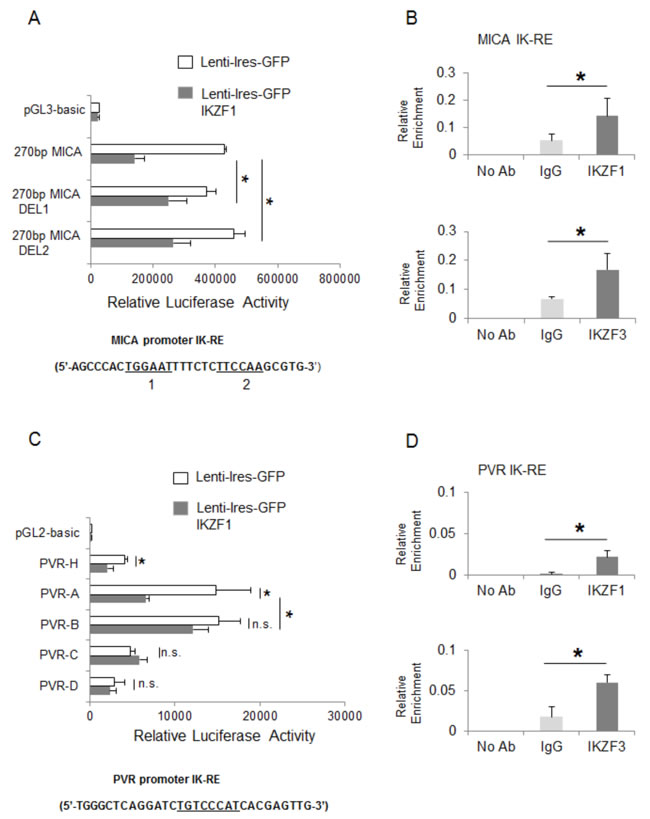 IKZF1/3 transcription factors repress mica and pvr promoter activity.