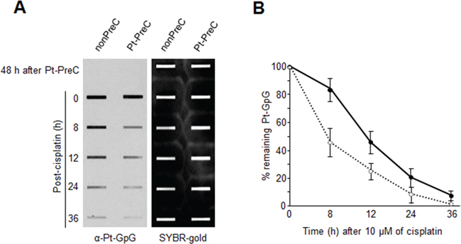 Enhanced Pt-GpG adduct removal by Pt-PreC.