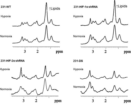 Figure 6: