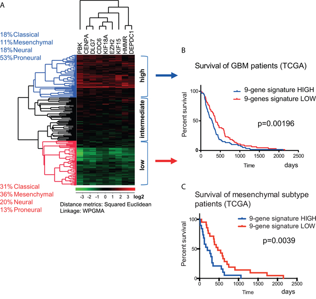 Correlation between gene expression and the survival of GBM patients.
