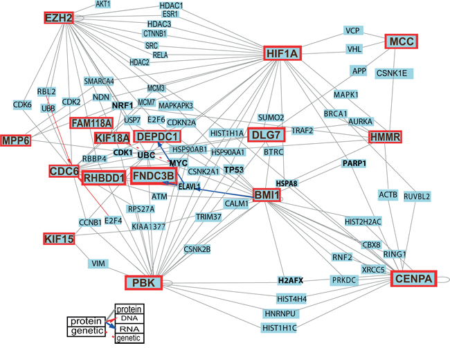 Protein-protein interactions among the proteins encoded by the 20 selected genes and the principal regulators of stemness, growth and tumorigenicity in GSCs.