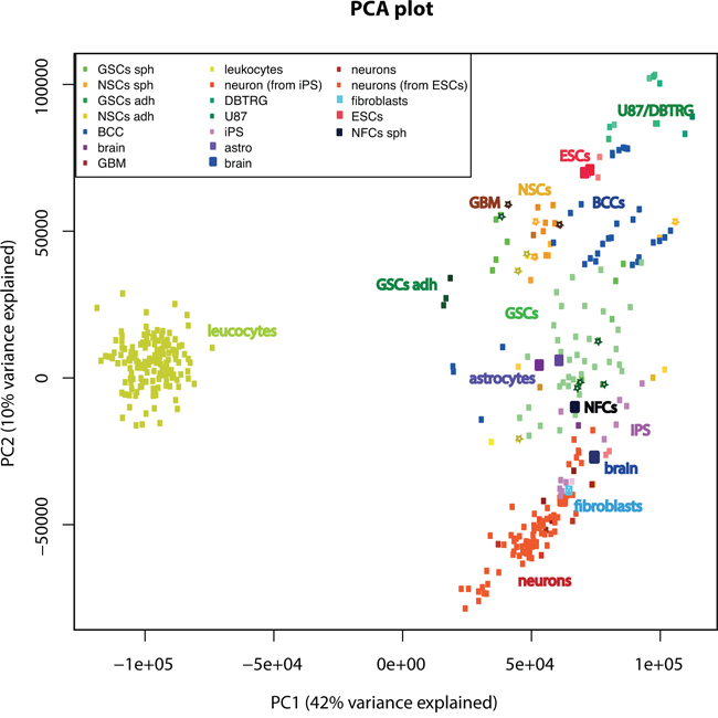 Global analysis comparing GSC and NSC cultures used in this work, to various cell types and tissues. For visualization of global analysis we used principal component analysis (PCA) of gene expression.