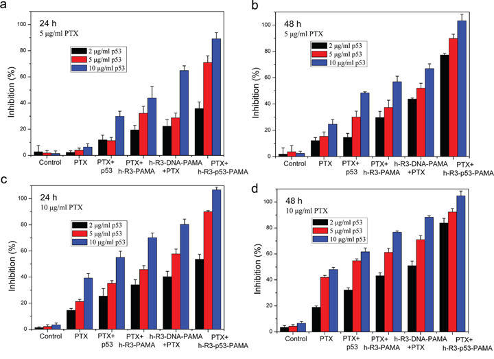 Cell growth inhibition induced by the combination of p53 and PTX treated after 24 h or 48 h.