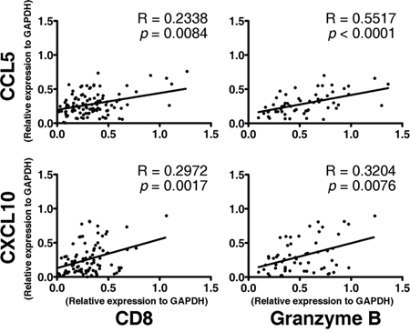 Association between the expression of CD8+ effector T lymphocyte markers (CD8 and Granzyme B) and the intensities of CCL5 (upper panel) and CXCL10 (lower panel) in tumor lesions.