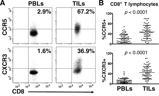 Expression of CCR5 and CXCR3 on CD8+ T lymphocytes in peripheral blood lymphocytes (PBLs) and matched tumor-infiltrating lymphocytes (TILs) (n = 61).