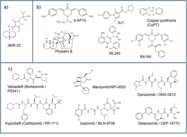 Proteasome small molecule modulators.