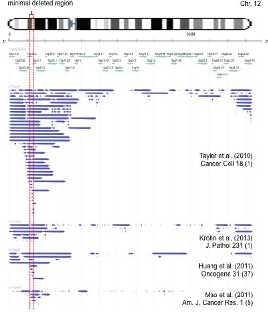 Size and extension of chromosome 12p deletions detected in published microarray-based copy number studies [6, 55&#x2013;59].