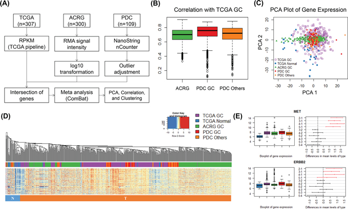 Gene expression analysis of multiple gastric cancer cohorts and PDCs.