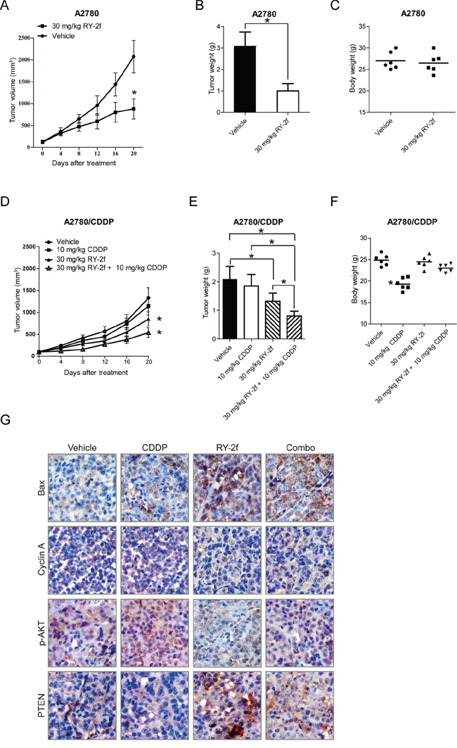 Inhibition of xenograft ovarian cancer by RY-2f.