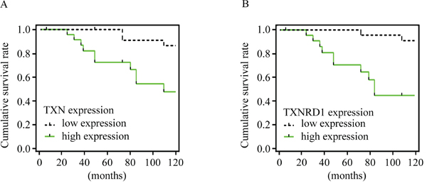 TXN and TXNRD1 expression are correlated with survival rate of patients with SACC.