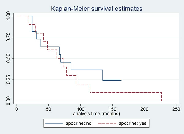 Kaplan Meier curve for overall survival according to apocrine differentiation.