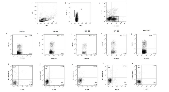 Dot plots of Th1, Th17, Th22 and IL-17/IL-22 double-positive T cells.