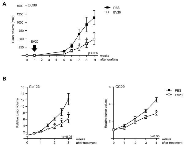 Treatment with anti-ErbB-3 antibody results in delay of V600E-BRAF tumor growth.