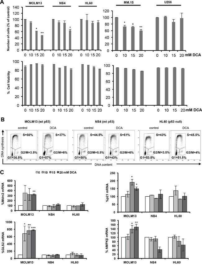 DCA activates p53 and causes p53-dependent cell cycle arrest.