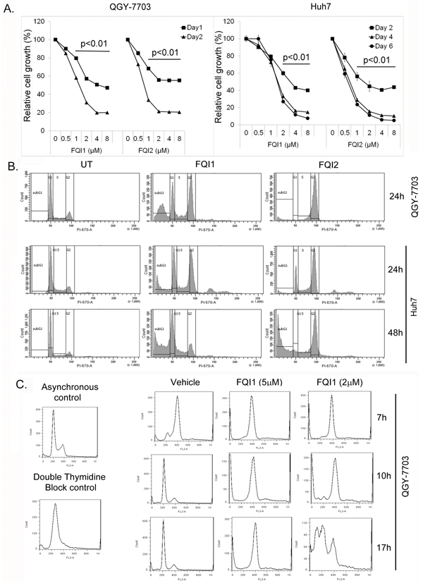 LSF inhibitors cause G2/M arrest.