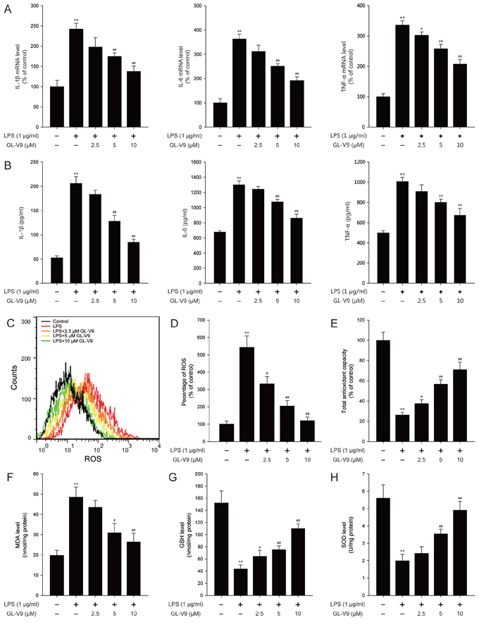 GL-V9 inhibited pro-inflammatory cytokines production and enhanced the antioxidant defenses in LPS-induced RAW 264.7 cells.