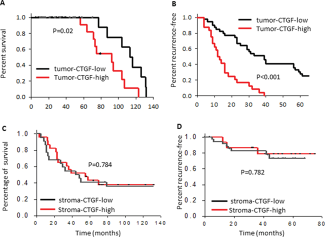 High expression of CTGF in breast tumor epithelium correlates with poor clinical prognosis and outcomes.