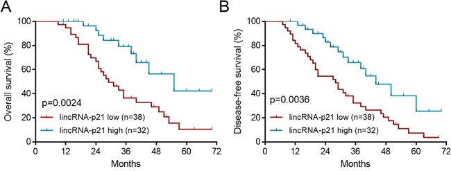 LincRNA-p21 low expression predicts poor survival.