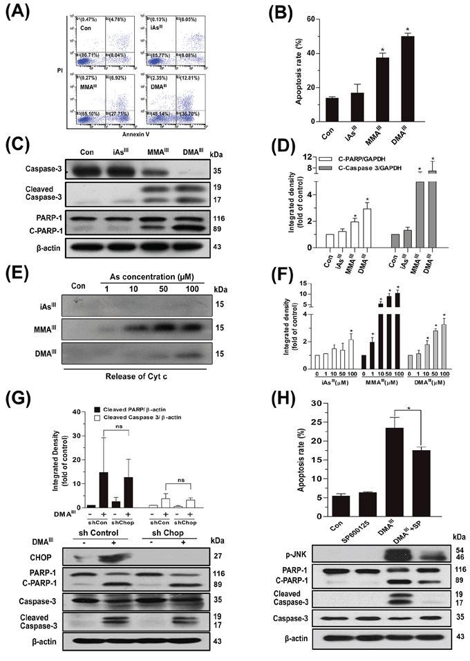 Effect of arsenicals on induction of apoptosis in NB4 cells or release of Cyt c from intact mitochondria.