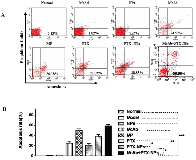 Strong apoptosis induced by McAb+PTX-NPs in BMMCs isolated from MM mice.