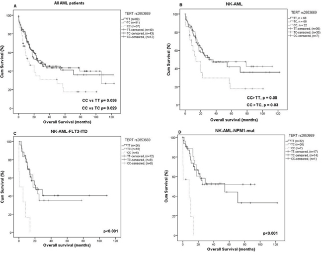 Differences in overall survival (OS) depending on TERT rs2853669 genotypes.