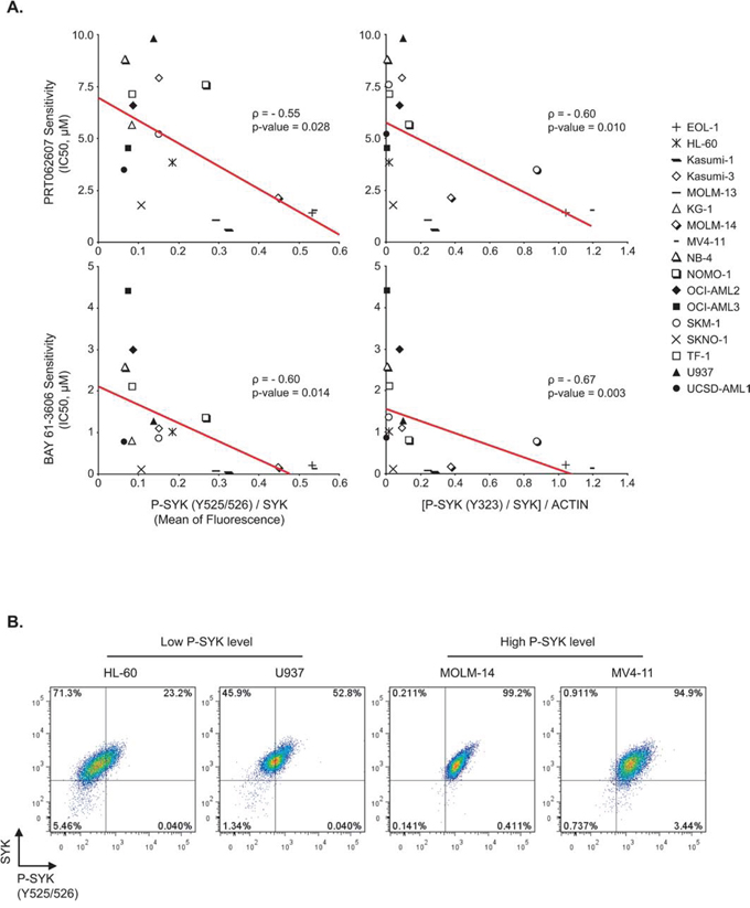 Association between level of SYK activation and response to small-molecule inhibitors of SYK.